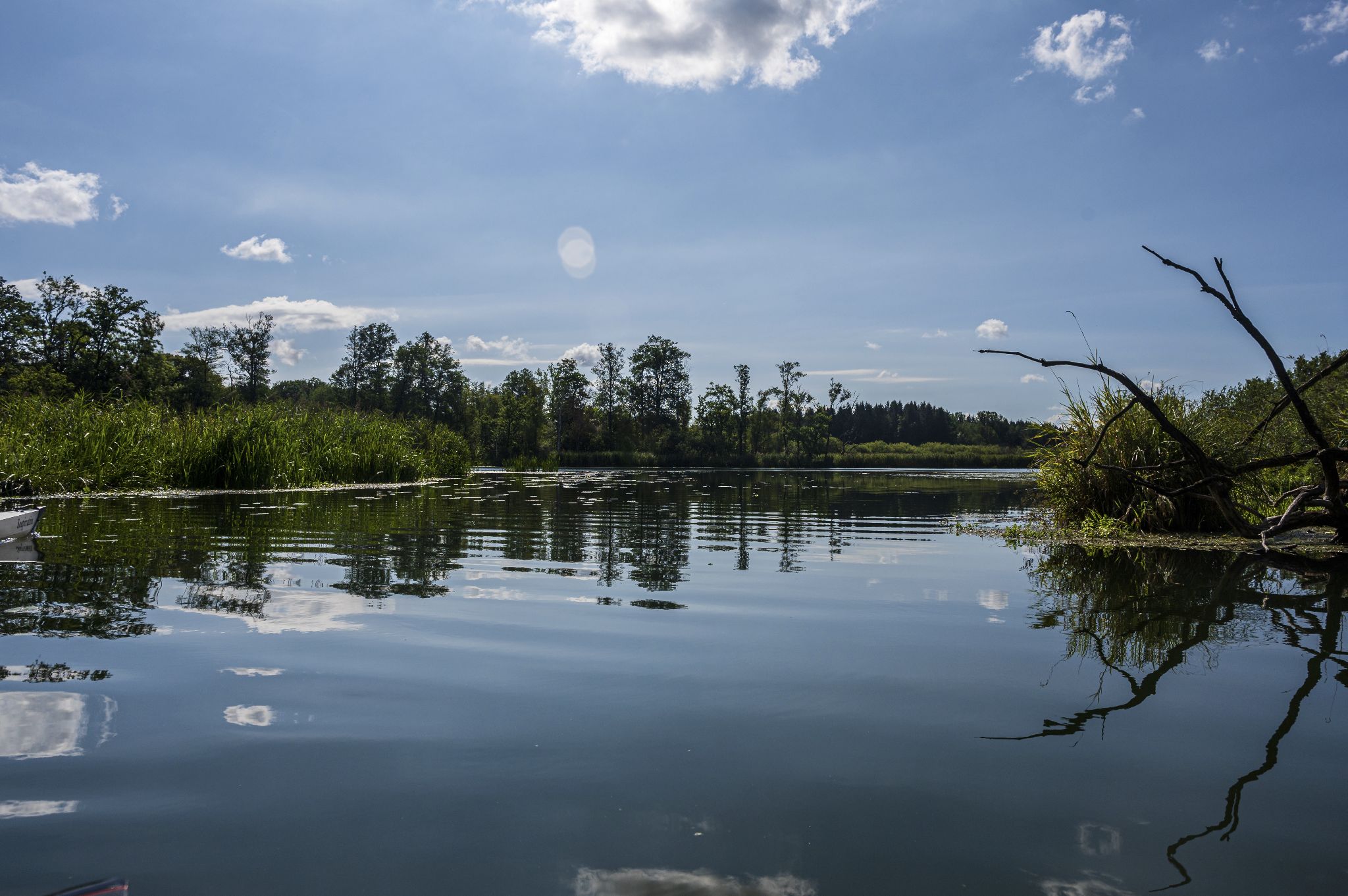Kajaktour Leutstettner Moos 21.08.2022